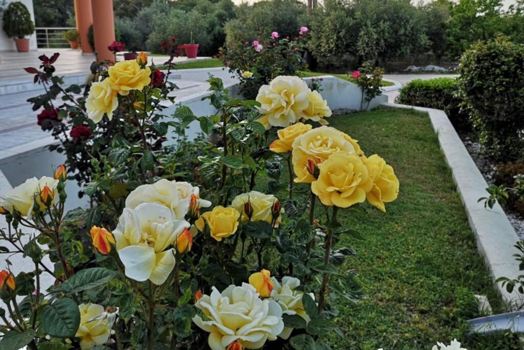 Fiore Di Rodi - Private Pool, Jacuzzi And Barbecue Ialysos (Rhodes) Exterior foto